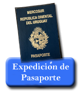 pasaporte2